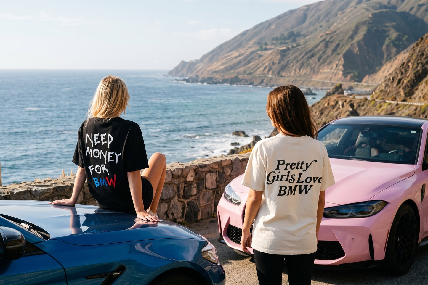 Need Money For BMW Heavyweight Tee
