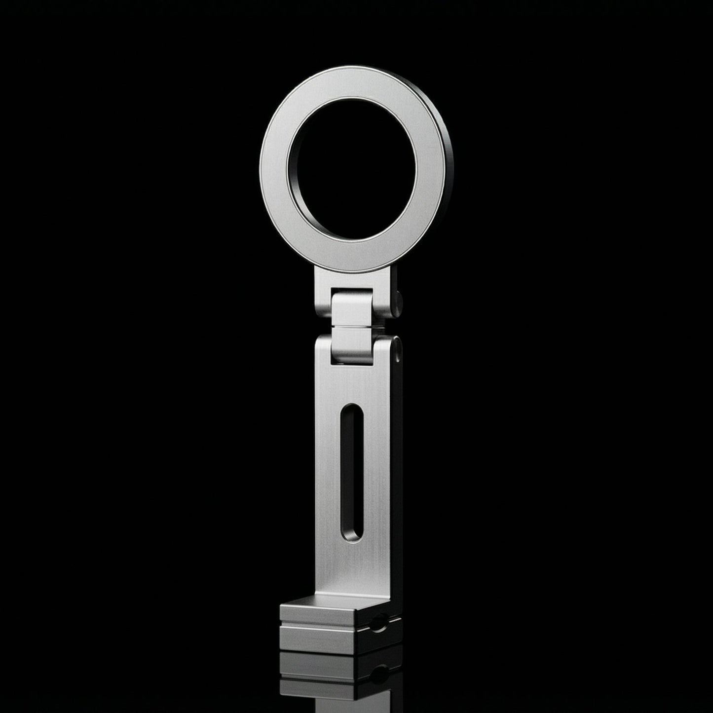 IgnitionView Mount